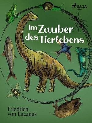 cover image of Im Zauber des Tierlebens